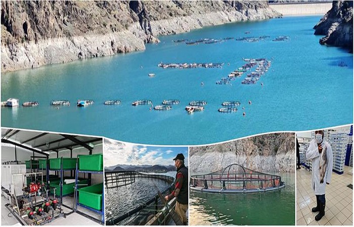 2025 Yılı Su Ürünleri Yetiştiriciliği Destekleme Başvuruları Başladı. Başvurularda Son Gün 19 Aralık 2025